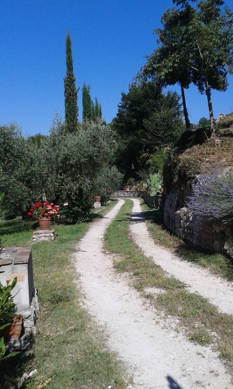 L'Antica Mola Castel Madama Quarto foto